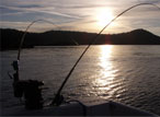 Sunset - Victoria Fishing Charters